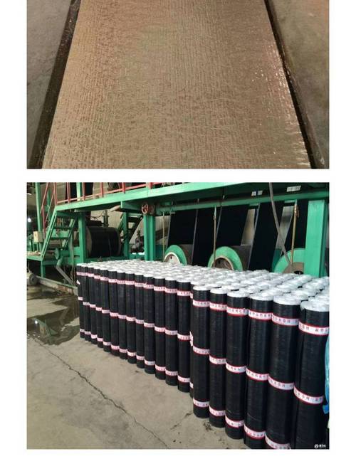 日经营范围包括一般项目:建筑防水卷材产品制造;建筑防水卷材产品销售